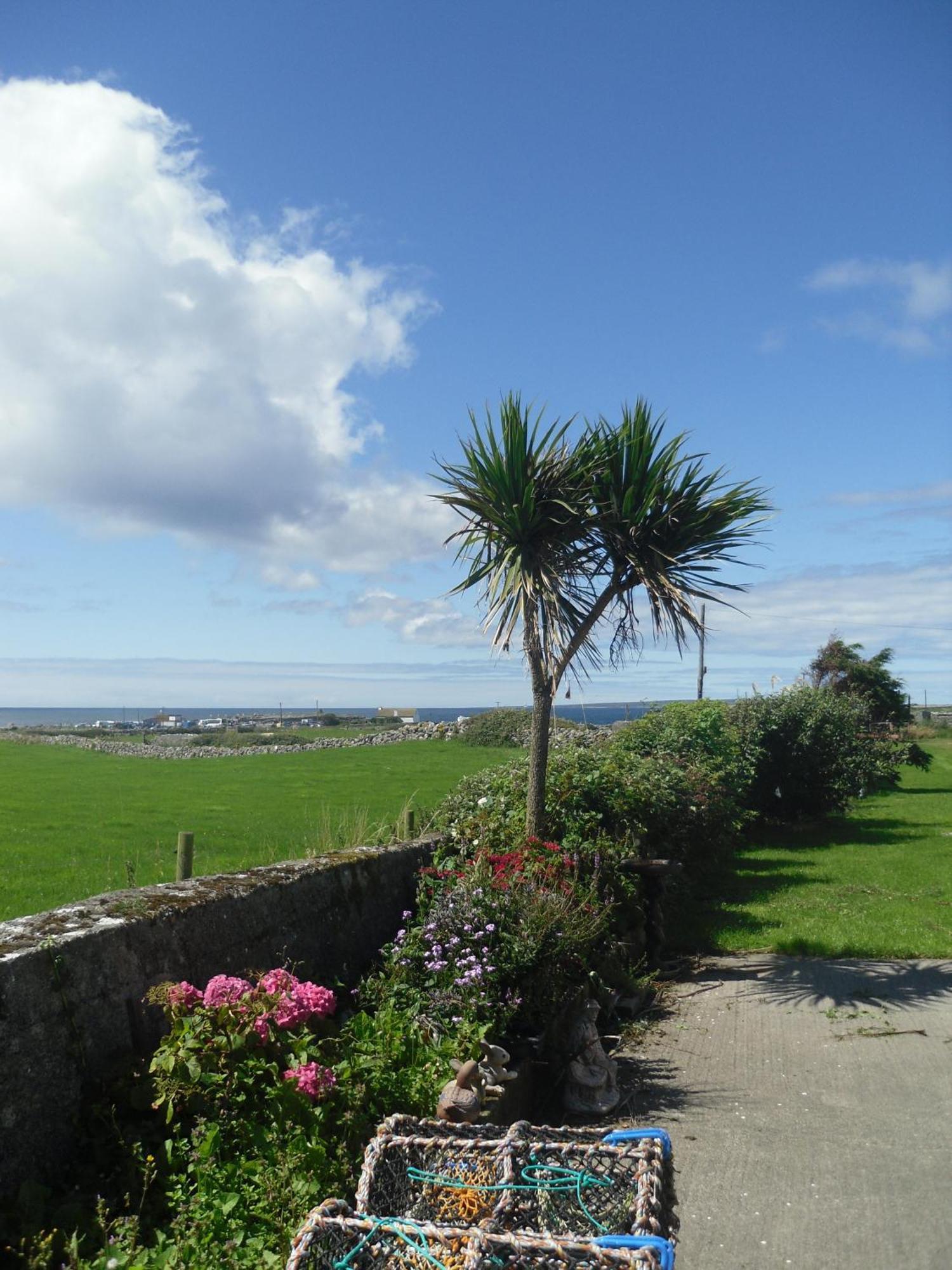 Atlantic View House Hotel Doolin Exterior foto